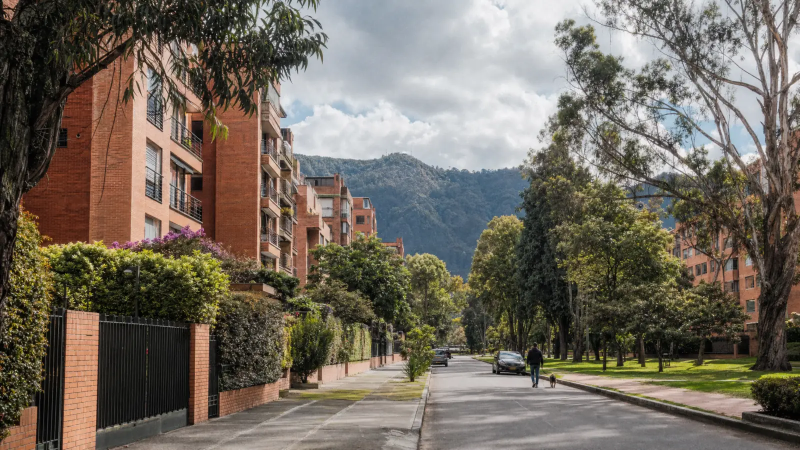 Calle residencial de Cedritos con edificios de ladrillo de varios pisos y árboles