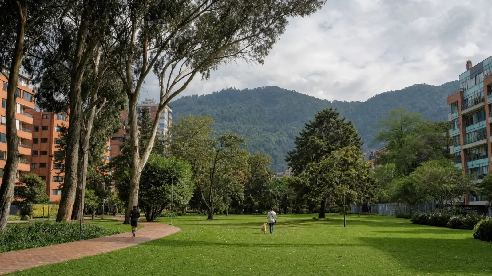 Calle arbolada del Chicó con edificios de ladrillo y los cerros orientales al fondo
