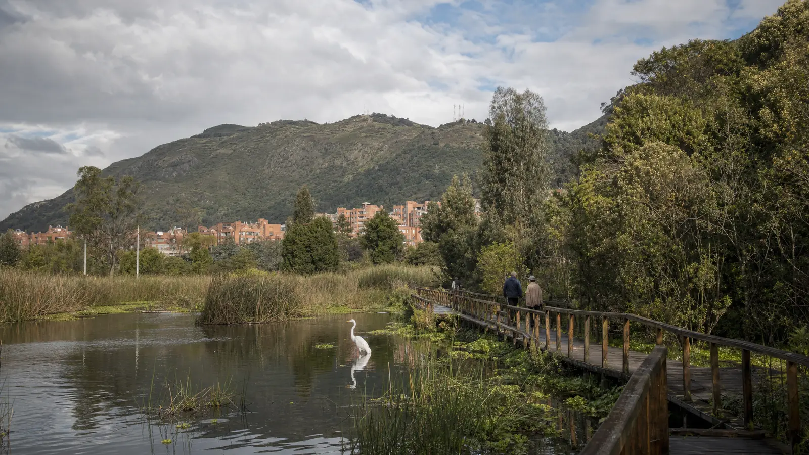 Barrio residencial de Suba con casas de ladrillo, árboles y zonas verdes